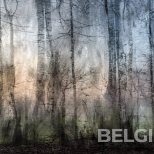 Silent Sorrow