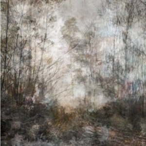 Whispering Heights