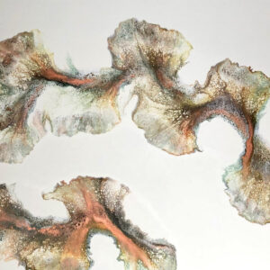 Liquid Art - Aragonite