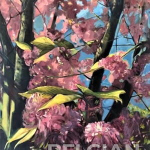My spring tree