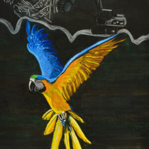The Macaws against the human hand
