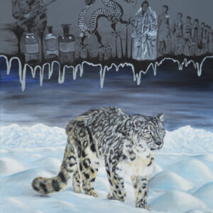 Snow leopard fight against hunters