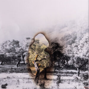 Burning tree