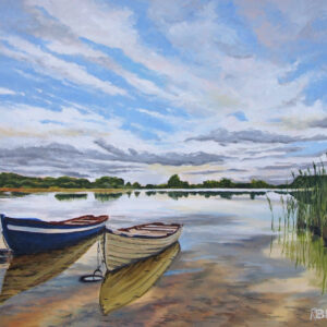 Moored boats on Lough Carra, Ireland