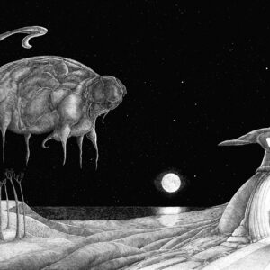 Visitor at Full Moon