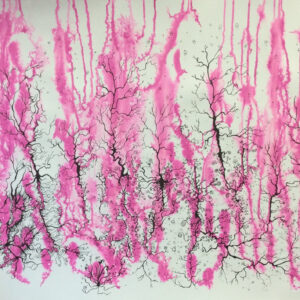 Synapse