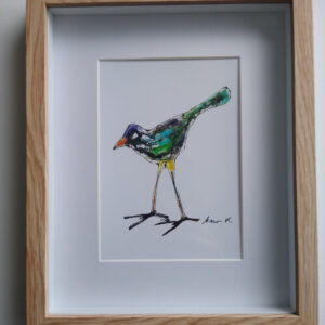 Paradise Bird