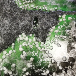 White stones in the water