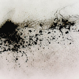 Emergence