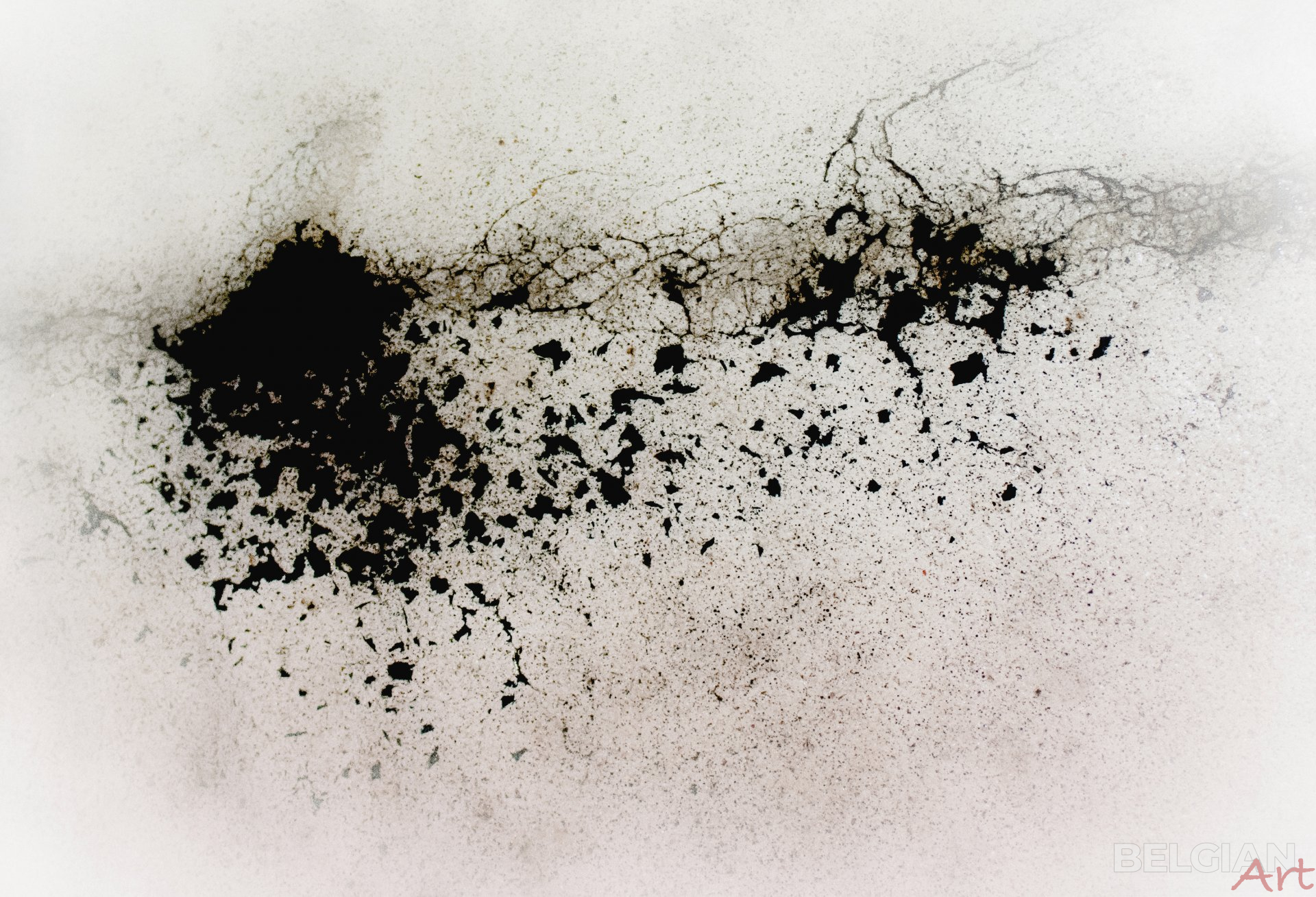 Emergence