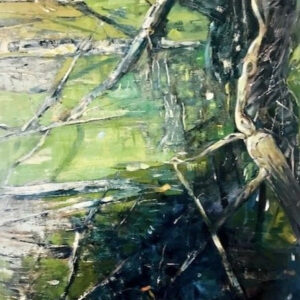 Swamp