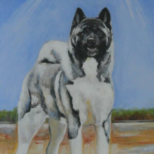 american Akita