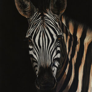 Stripes