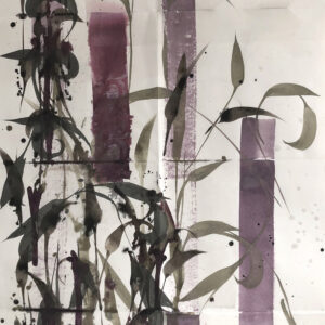 Floraisons / 71 - 26.12.2021