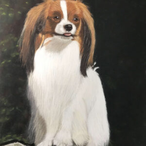Portrait of a Continental Toy Spaniel