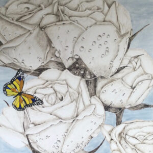 Butterfly roses