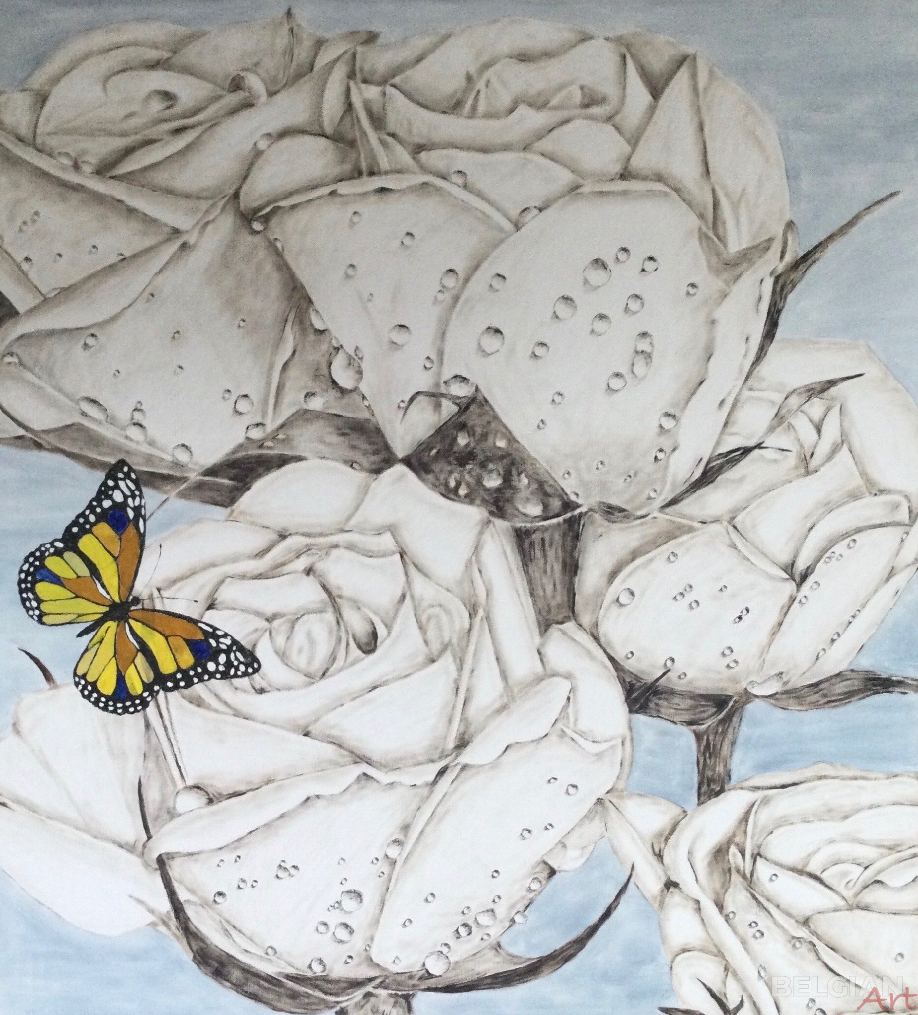 Butterfly roses