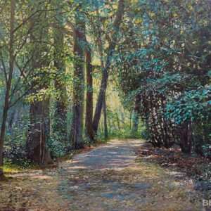 Park Van Mesen #2, Lede