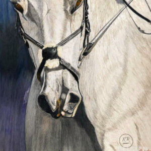 Horse's head