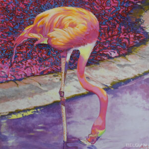 Flamingo