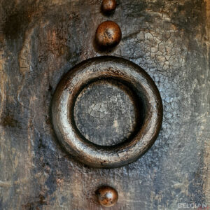 Le Cercle Des Fées