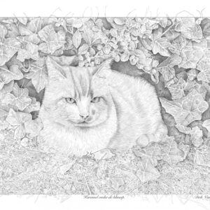 Karamel under the ivy