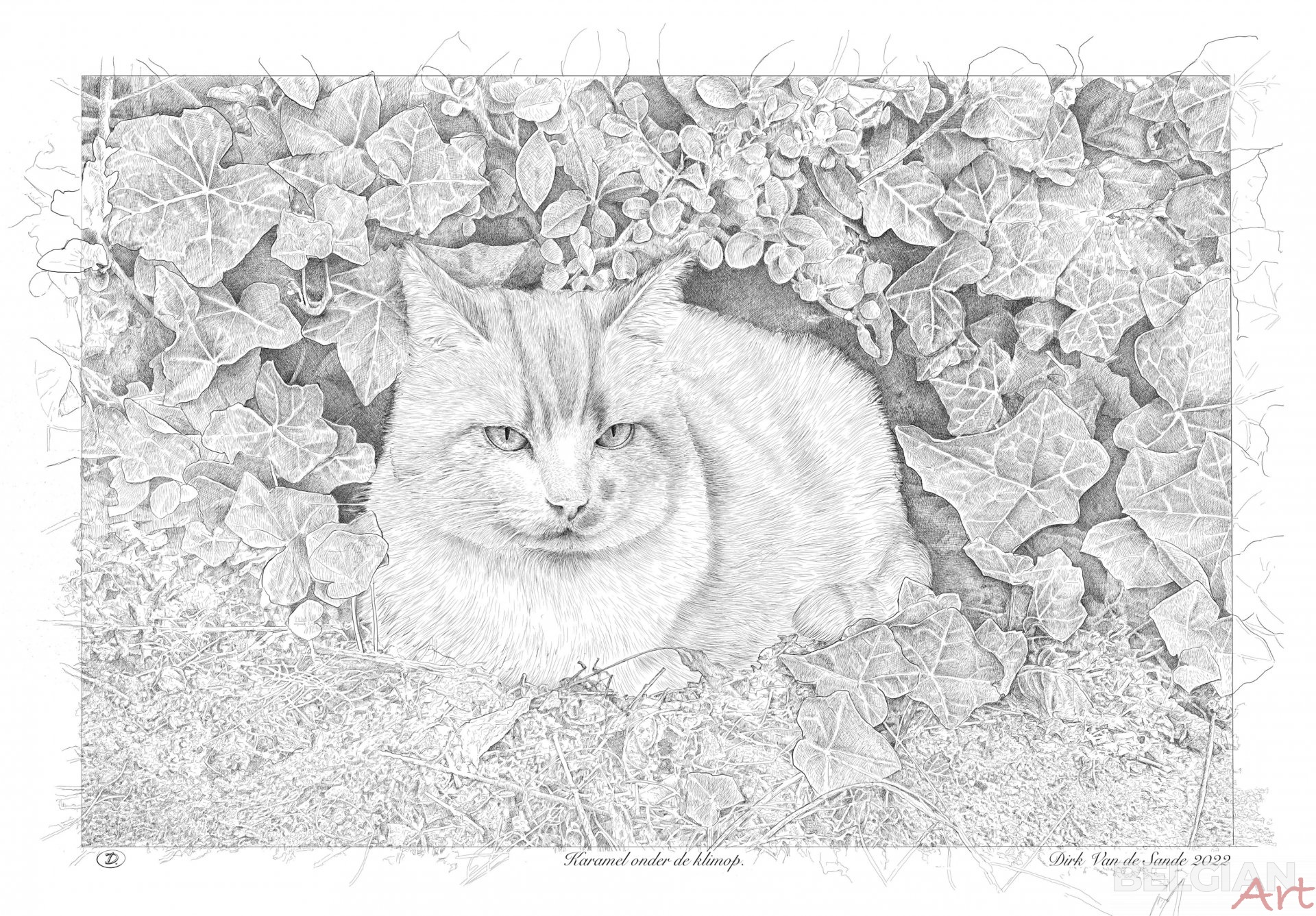 Karamel under the ivy