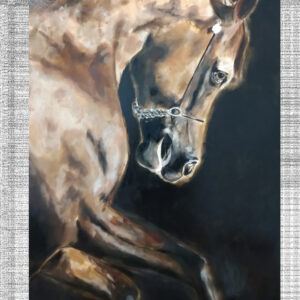 Paard