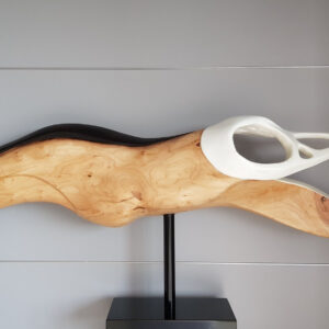 DIVING WOMAN , FLYING CROW