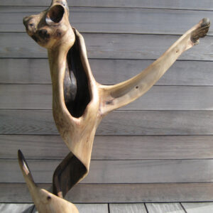 Catching cat
