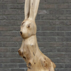 HARE