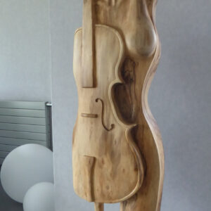 BIRTH OF A CELLO