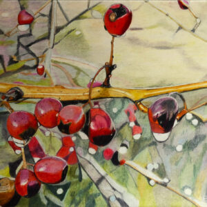 "Cenelles" after the rain
