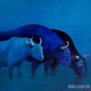 Buffels