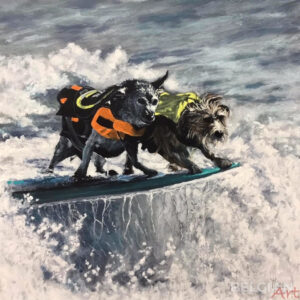Surfwedsstrijd voor honden