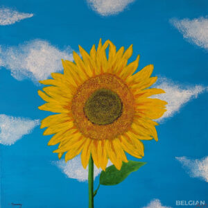LE TOURNESOL
