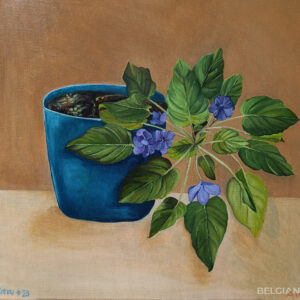 Purple flowers