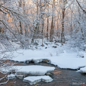 Wintergloed
