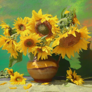 Sunflowers