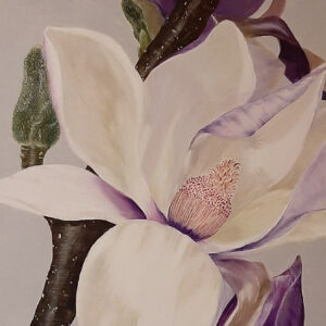 Magnolia