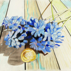 Dance of the Grape Hyacinths