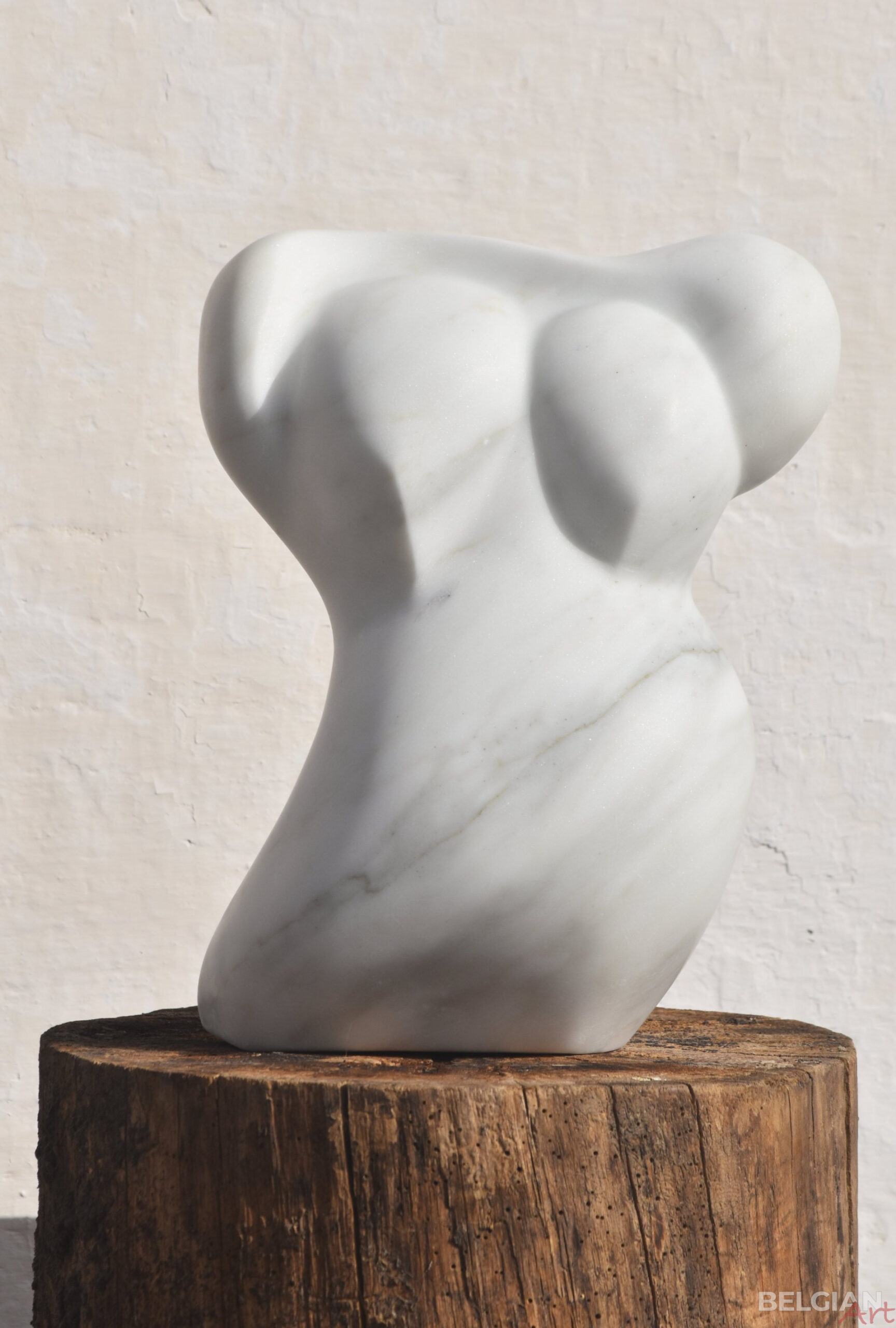 Donna Carrara