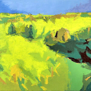 Rapeseed