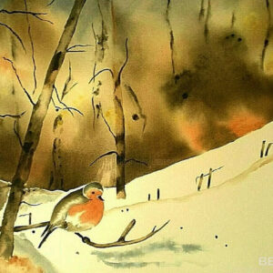 SOLITUDE HIVERNALE.