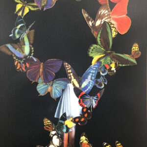 Butterfly head