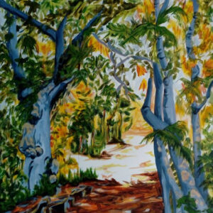 Jungle area