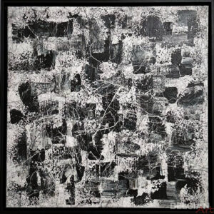 Something black something white