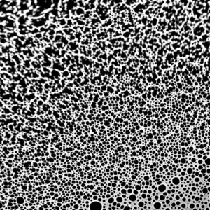 Fractal