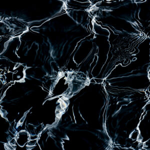 Brain
