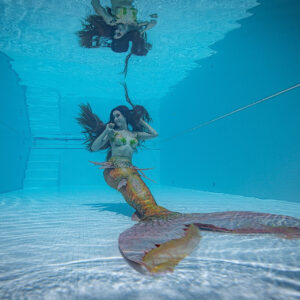 My swimmingpool